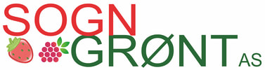 Sogn Gr&oslash;nt AS